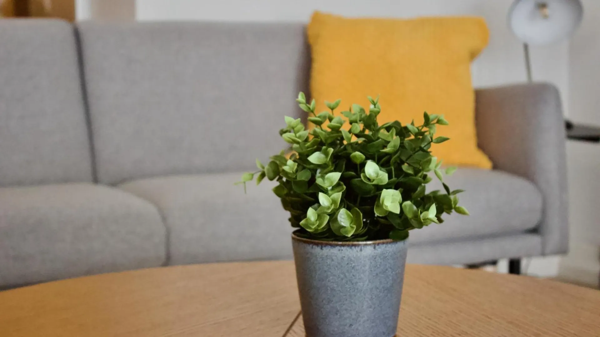 Apartamento Cozy Voyage - Stylish 135M2 For Up To 9 People In Kudamm Berlín